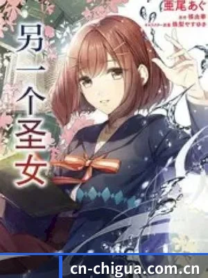 功能完善